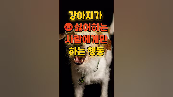 "강아지가 싫어하는 사람에게만 보이는 행동!" #강아지 #애견영상 #명언
