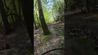 Mit Der Gopro Durchs Unterholz