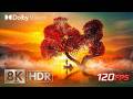 Amazing 8K HDR 120 FPS | Dolby Vision OLED Demo (8K/4K TV Video)