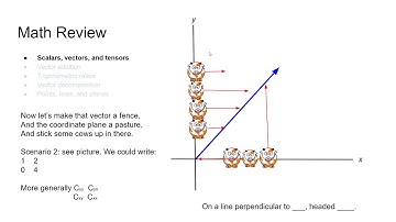 Scalars, Vectors, and Tensors