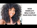 New Haircut! New Curly Hair Routine! | BiancaReneeToday