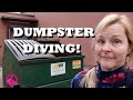 DUMPSTER DIVING ~ JUST POPPING TO THE GROCERY STORE TO PICK UP A FEW THINGS, BACK IN A SEC #freefood