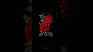 Trending Rose Photos Changing Effect Instagram Trending