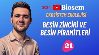 Besin Zinciri Ve Besin Piramidi 39 Günde Tyt Biyoloji Kampı-21 10 Sınıf Biyoloji Kampı-14 2024