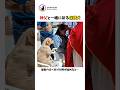 神父と一緒に祈る保護犬のサムネイル
