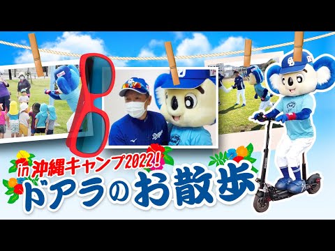 【マスコットチャンネル】ドアラのお散歩 in 沖縄キャンプ2022！！！