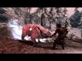Skyrim Elder Scrolls V Bear Fight