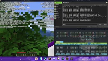 VulkanMod On Linux
