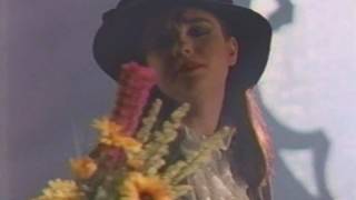 Cassandra Vasik - Wild Flowers