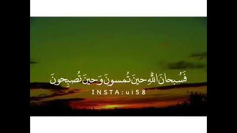 تلاوة خاشعة تهز القلوب ❤️وتبكي العين من جمالها