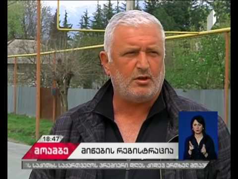 როგორ მიმდინარეობს მიწების რეგისტრაციის პროცესი