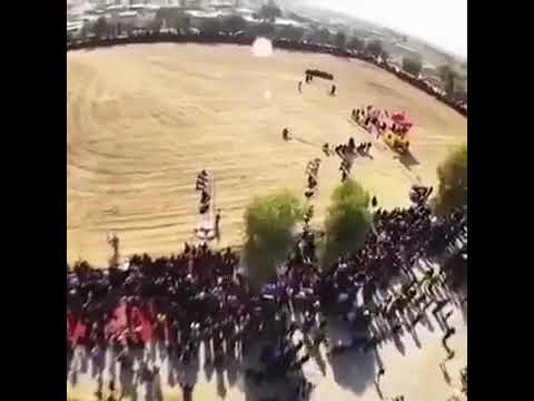 شاهد ماذا فعل الجمهور عند سماع نداء الامام اين هل من ناصر ينصرنا