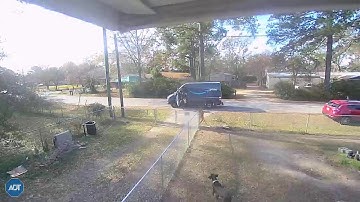Delivery Driver Gives Package to the Dogs || ViralHog