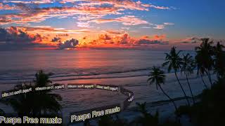 Tim Taj-Tropical House Party Song 2023 Resimi