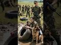 Cute Army girl's Hard Training #army #shorts #youtubeshorts #viralshorts