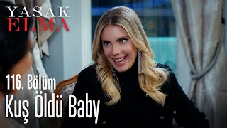 Kuş öldü baby - Yasak Elma 116. Bölüm