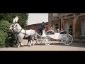 Horse Drawn Weddings (by Horse & Carriage Masters Ltd)