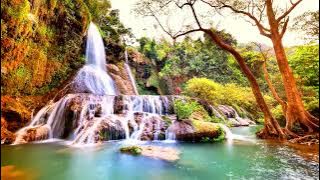 Pemandangan Alam  🟣 VIDEO BACKGROUND -  BEBAS UNDUH 🟣 VIDEO = 345