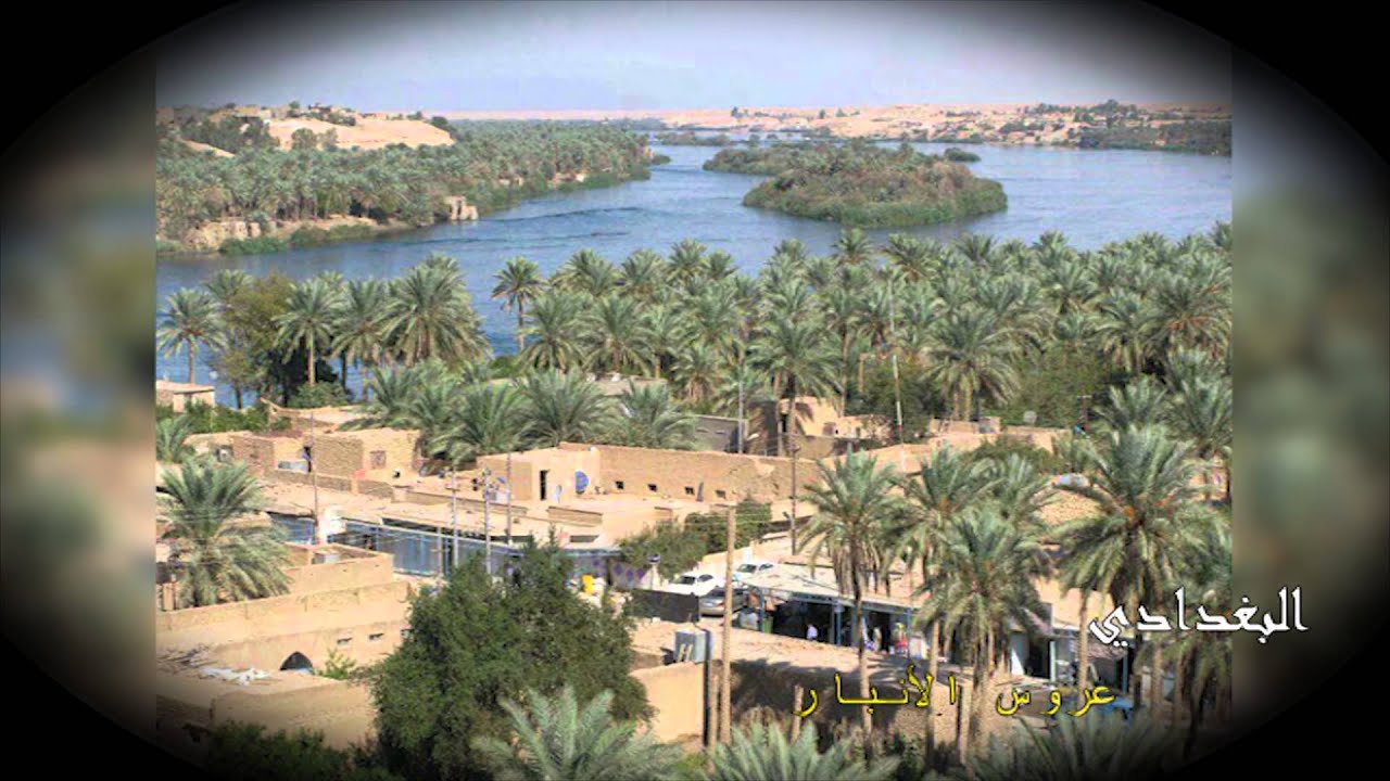 مدينة البغدادي   عروس الانبار  - رعد الخاشع .