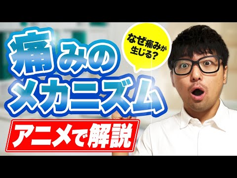 アニメで痛みのメカニズムを解説　　【理学療法士　痛み】