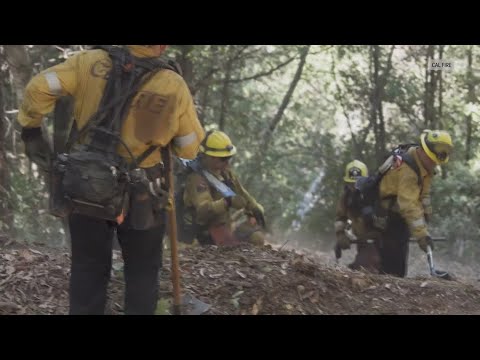 California Wildfires: Some