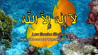 Download Lagu Daily Dzikir LAILAHAILLALLAH Peaceful Daily Session MP3