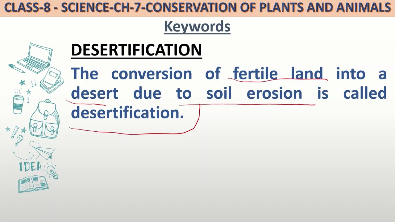define desertification long answer