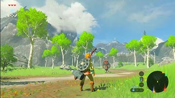 BOTW First Lynel Encounter