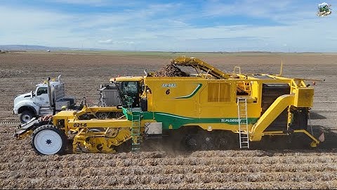 Columbia Basin Potato Harvest | Oxbo AR-4BX Potato Harvester