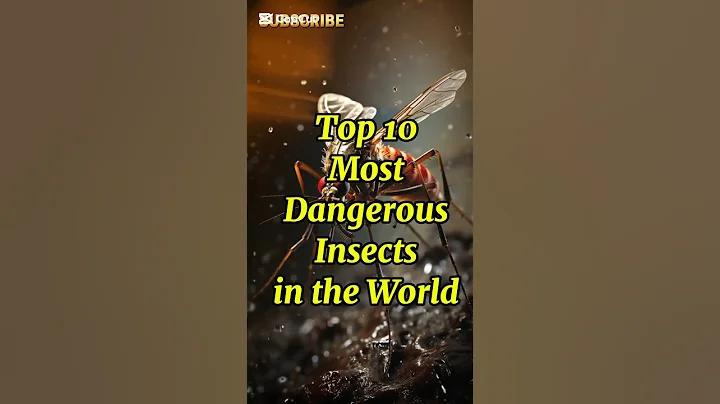 Top 10 Most Dangerous Insects in the World 🌎😱#top10 #kidslearning #shorts #trending