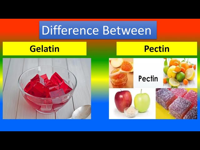 Difference Between Gelatin And Pectin - Youtube