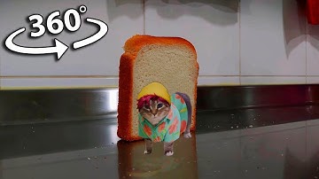 Toast falling over Soda Pop (OIIA Cat Remix) | 360° VR Video