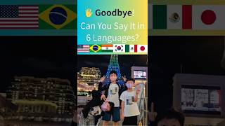 Say Goodbye in 6 Languages! 👋 Tchau • Adiós • Goodbye • さようなら • 안녕히 가세요 • अलविदा