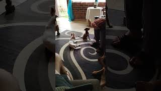 Download Lagu #ill be there MP3