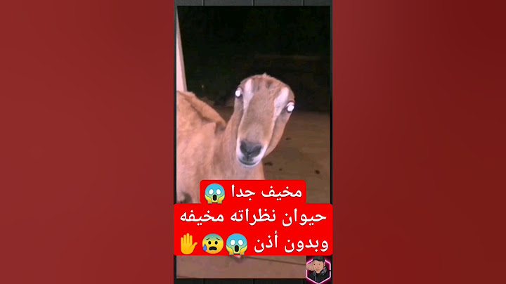 ⛔ايش نوع هالحيوان؟ 😱 مخيف جدا نظراته وداخله جن😰⛔ #جن #قصص #youtubeshorts #shortvideos #tiktok #saudi