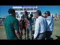 filly milk teeth category in Jashra Horse show 2023
