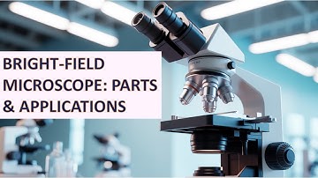 Bright Field Microscope Explained | Principle, Parts,  Applications, Advantages & Limitations