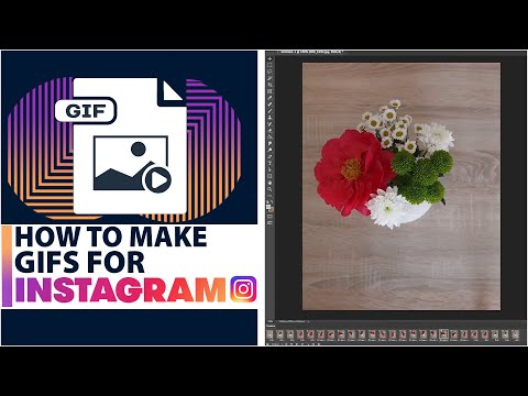 How to post a GIF on Instagram