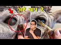 ऐसी चीज़े जो आप ज़िंदगी में पहली बार देखेंगे  Things you will see for the first time in your life