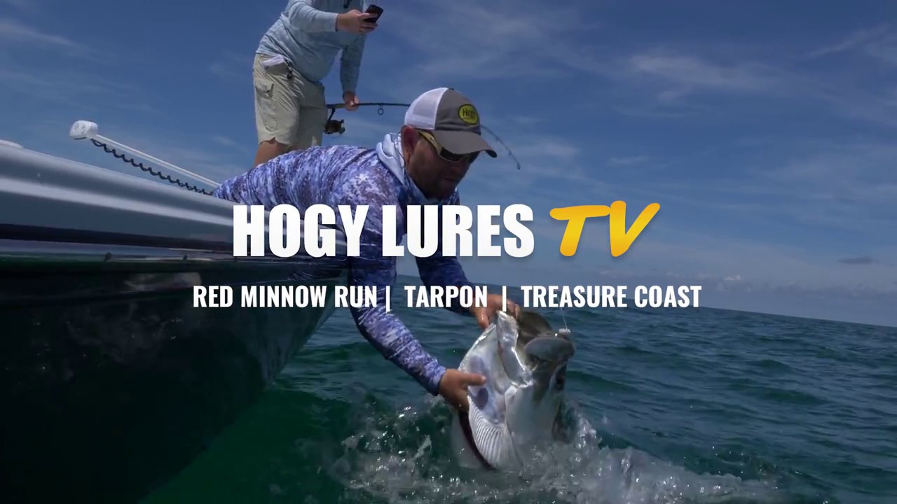 Tarpon Fishing The Minnow Run – Hogy Lure Company Online Shop