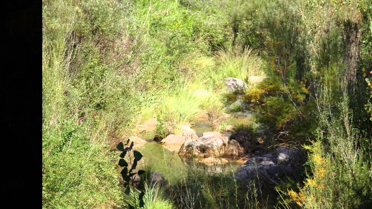 PR VT 126 LOS CALPES MONTANEJOS (10/10/2015)