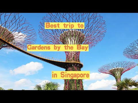travel food strategy Singapore, Gardens by the Bay in Singapore旅游美食攻略 新加坡 滨海湾花园Japan HongKong