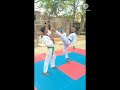 Shorttaekwondo kick