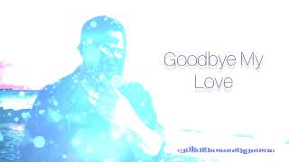 GOODBYE MY LOVE (AUDIO)