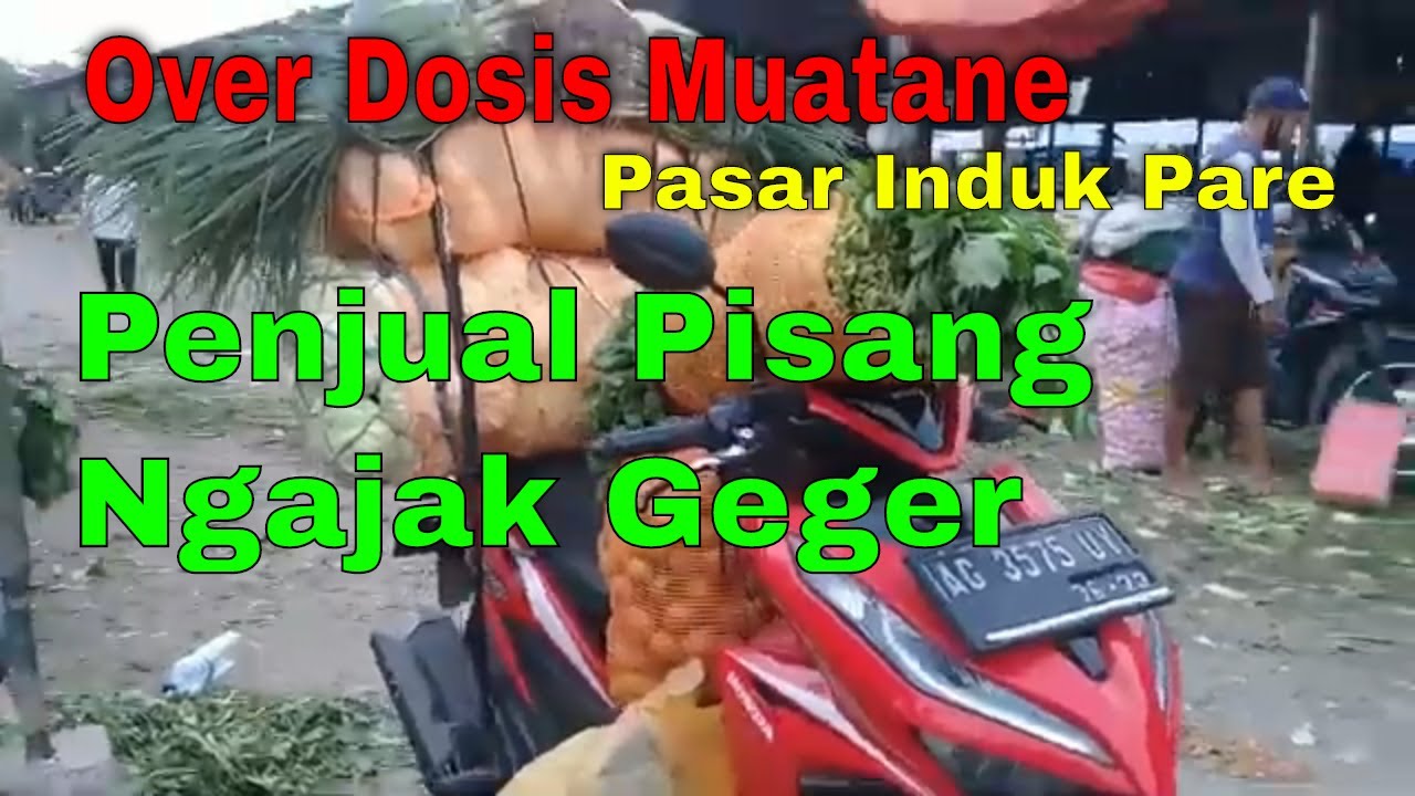 Borong Sayur Di Pasar Induk Pare Kediri