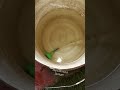 हैण्ड स्प्रेयर कीटनाशक दवाछिड़कने के लिए | Manual Hand Sprayer #shorts #shortvideo #short