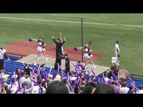2018春季東京六大学応援　立教大　セントポール~紫空~スターダスト~ハヤブサ~SWANEE