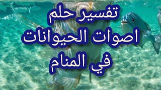 اصوات الحيوانات في تفسير الاحلام