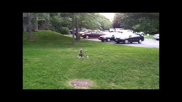 TREX 500 CLONE MAIDEN HOVER