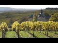 Explore wines of germany rheingau